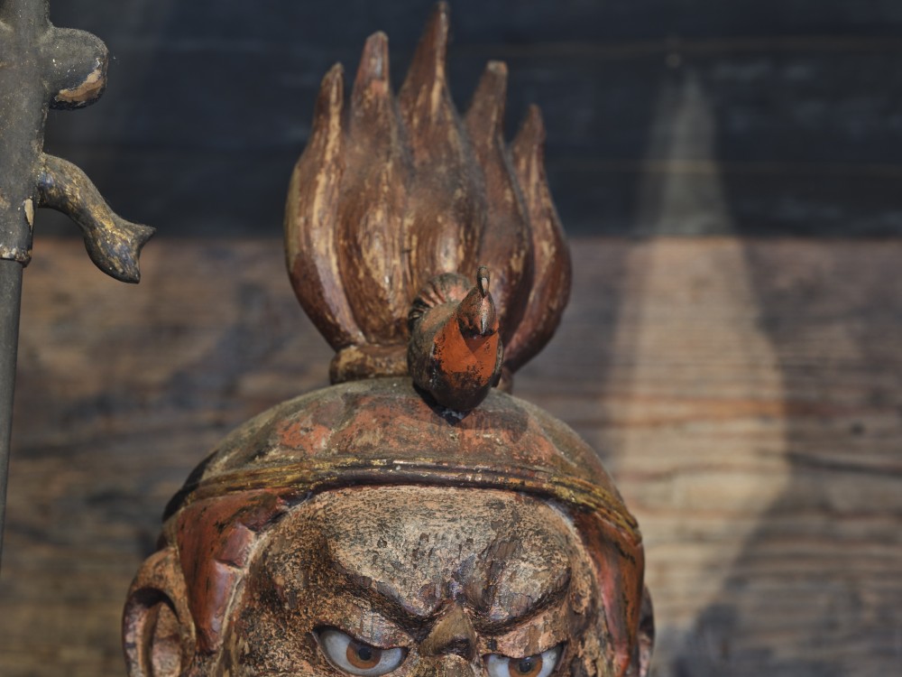 文化財デジタルコンテンツダウンロード機能