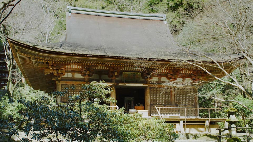 日本のどう　ガラス建築、室生寺他計4点 文化財デジタルコンテンツダウンロード機能