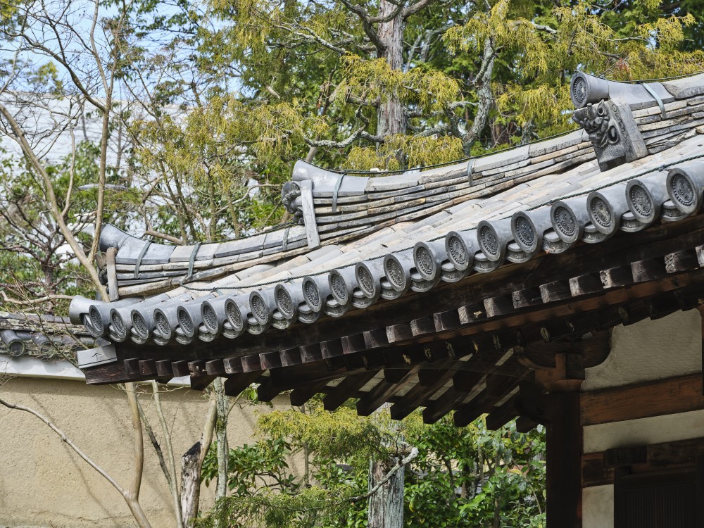 唐招提寺 | 文化財デジタルコンテンツダウンロード機能