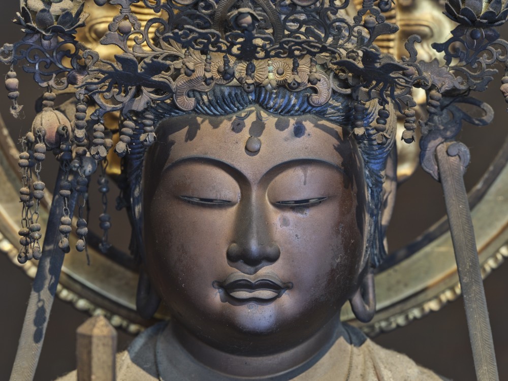 文化財デジタルコンテンツダウンロード機能